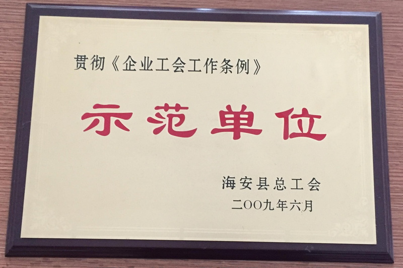 2009年度貫徹《企業(yè)工會工作條列》示范單位
